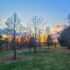 From Our Level of View This Week, the Jedi Are Evi...