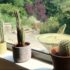 The Morning After: Microsoft upgrades its Copilot ...